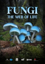 Fungi: The Web of Life