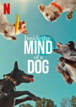 Inside the Mind of a Dog