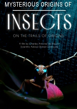 Mysterious Origins of Insects