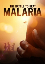 The Battle to Beat Malaria